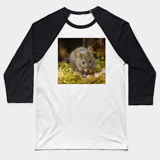 Wild  cute garden mouse Baseball T-Shirt